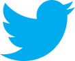 100 Twitter Followers